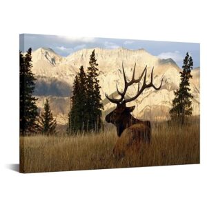 VVOVV Wall Decor Deer Pictures Elk Wall Art Wildlife Animal Painting Art Print on Canvas Stretched Framed Ready to Hang 16"x24"